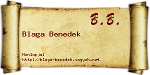 Blaga Benedek névjegykártya